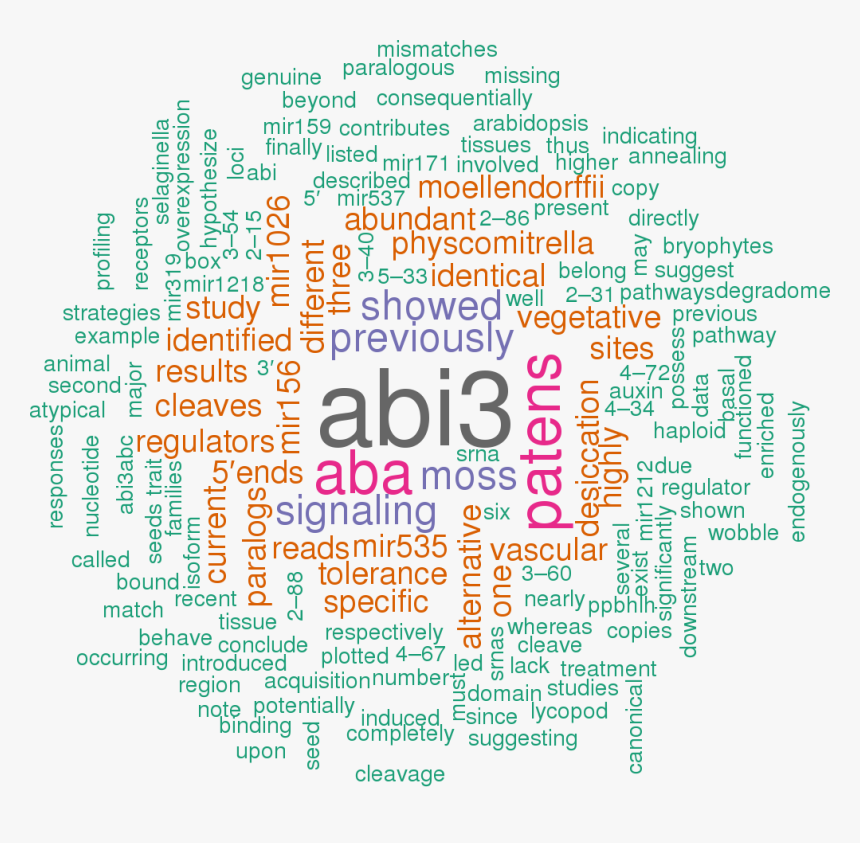 Hsa Let 7a 3p 5p 3 Utr, HD Png Download