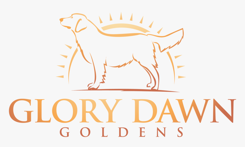 Glory Dawn Goldens Logo - Barbados, HD Png Download
