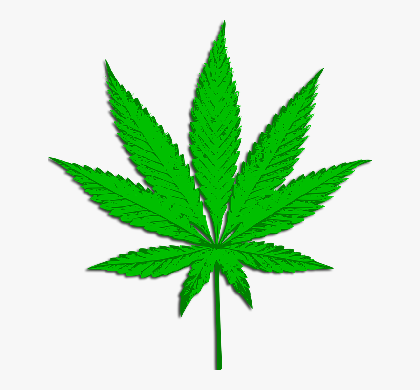 Weed Transparent Background, HD Png Download