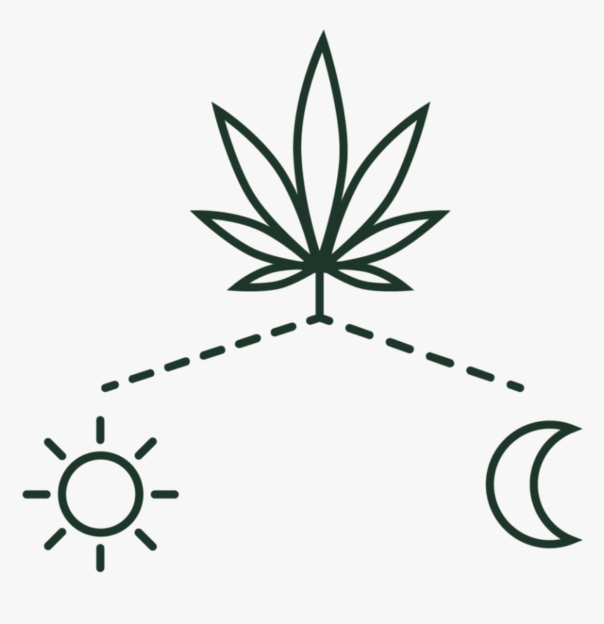 Icon The Plant-16 - Cannabis, HD Png Download