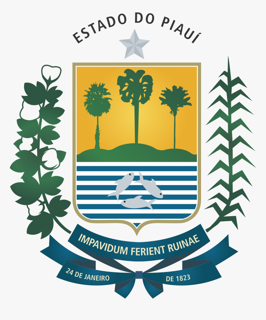 Governo Do Estado Do Piaui Clipart , Png Download - Governo Do Piaui, Transparent Png