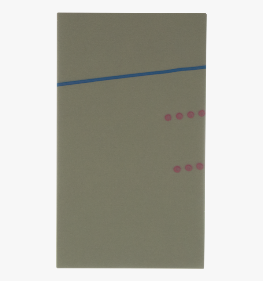 Iphone 5/5s/5c/se Polarizer Film 
 Title Iphone 5/5s/5c/se - Paper, HD Png Download