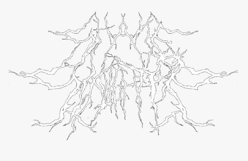 Shaneslaughtermerch - Illustration, HD Png Download