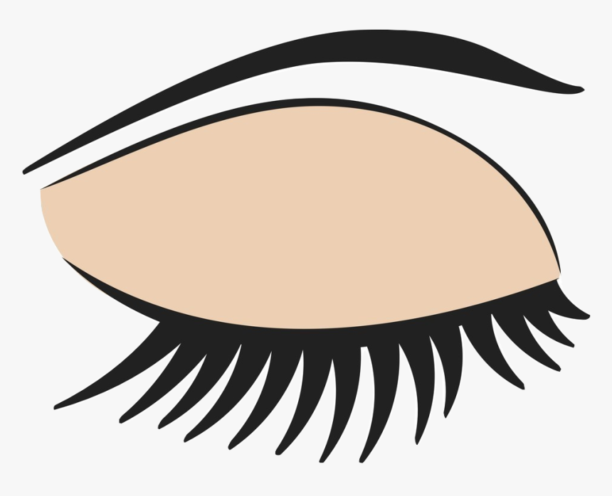 Eyelash Clipart , Png Download, Transparent Png