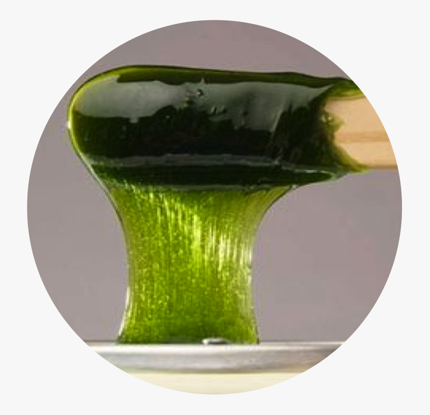 Waxing Round - Grass, HD Png Download