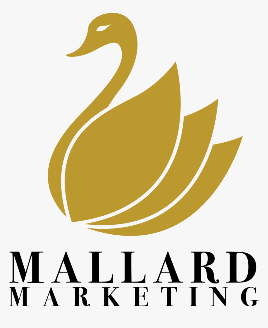 Full-service Digital Marketing, Seo & Content Marketing - Duck, HD Png Download