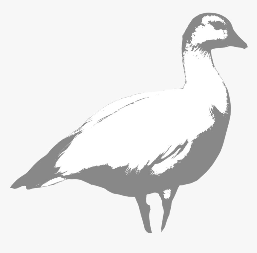 Ross - Portable Network Graphics, HD Png Download