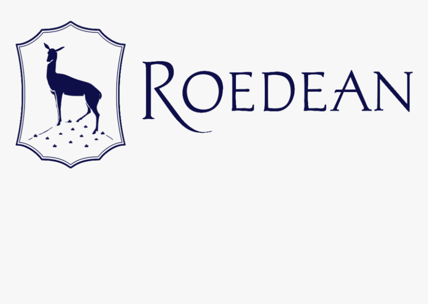 Roedean Landscape Logo 02 Blue - Roedean School Logo, HD Png Download
