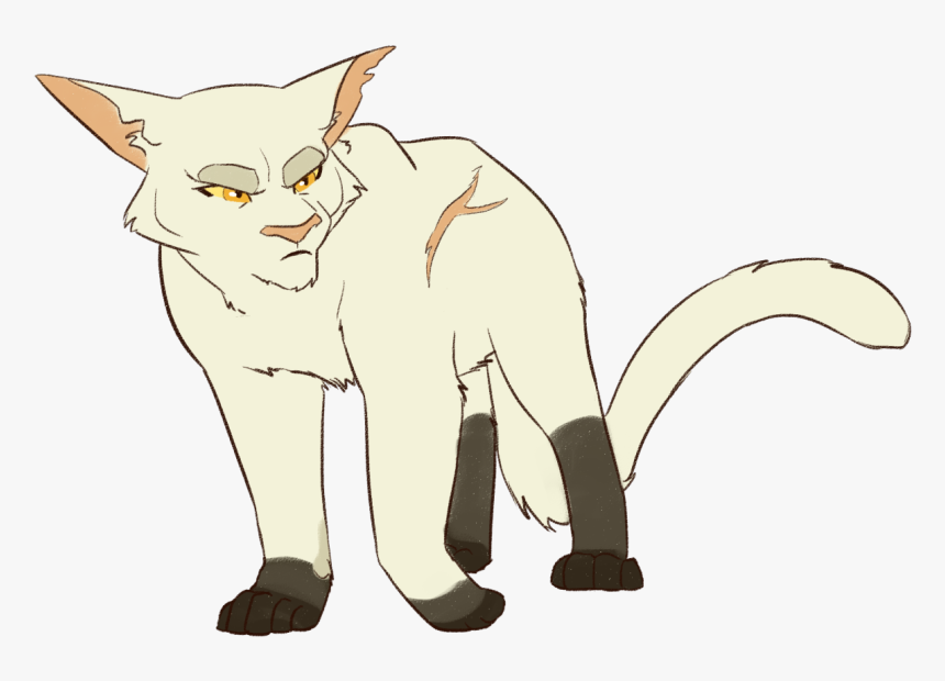 Blackstarshadowclan Leader
https - //www - Youtube - Cat Yawns, HD Png Download