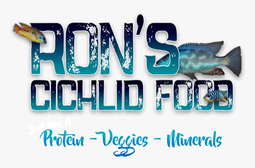 Calligraphy, HD Png Download