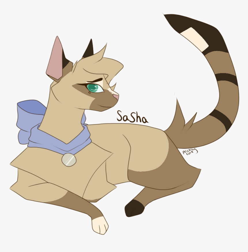 Warrior Cats Png, Transparent Png