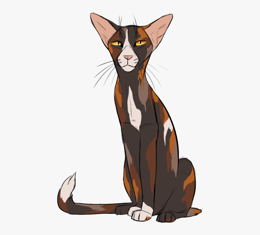Image - Noodlers Warrior Cats, HD Png Download