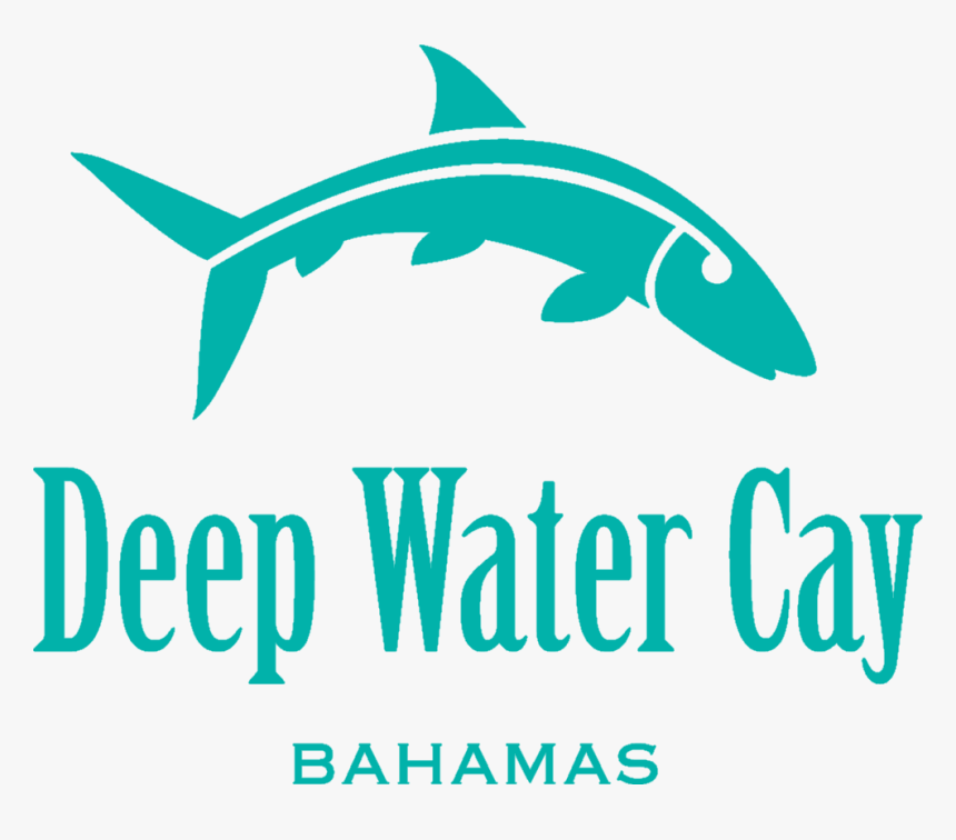 Deep Water Cay Logo - Squaliformes, HD Png Download