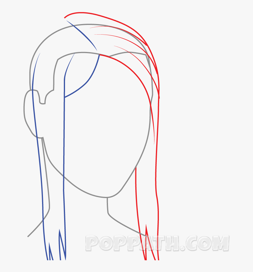 Drawing Ponytail - Sketch, HD Png Download