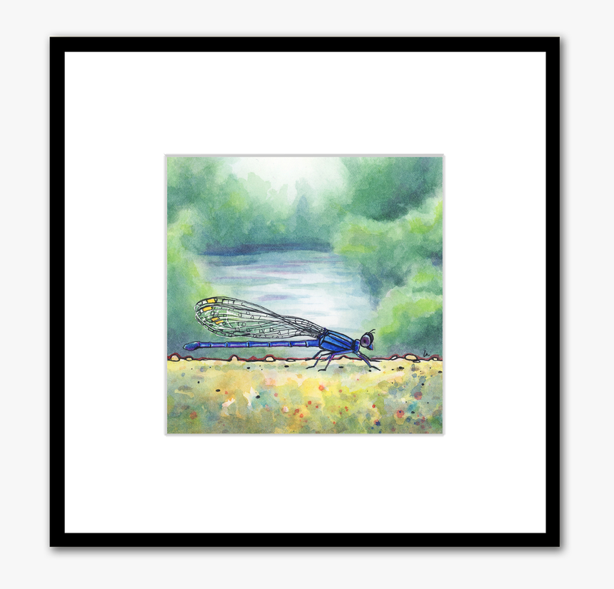 Down By The River Blue Damselfly Watercolor Painting - Picture Frame, HD Png Download