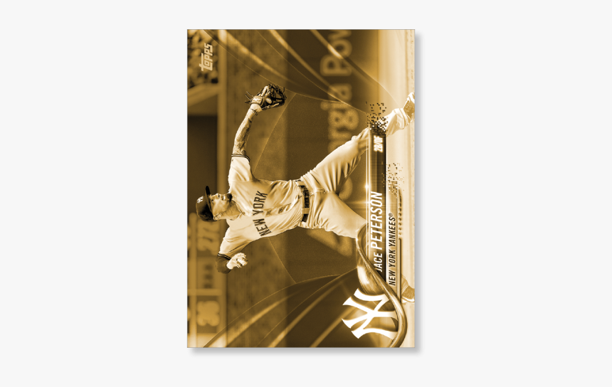 Longboarding, HD Png Download