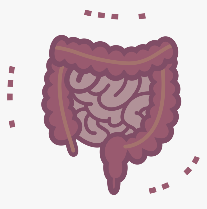 Intestine 2 - Small And Large Intestine Cartoon, HD Png Download