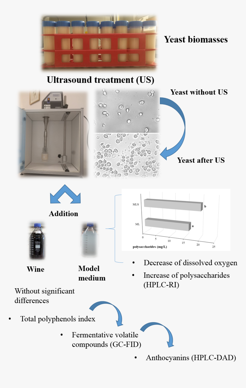 Diagram, HD Png Download