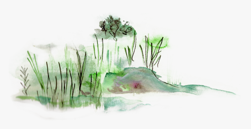 Shore - Watercolor Paint, HD Png Download