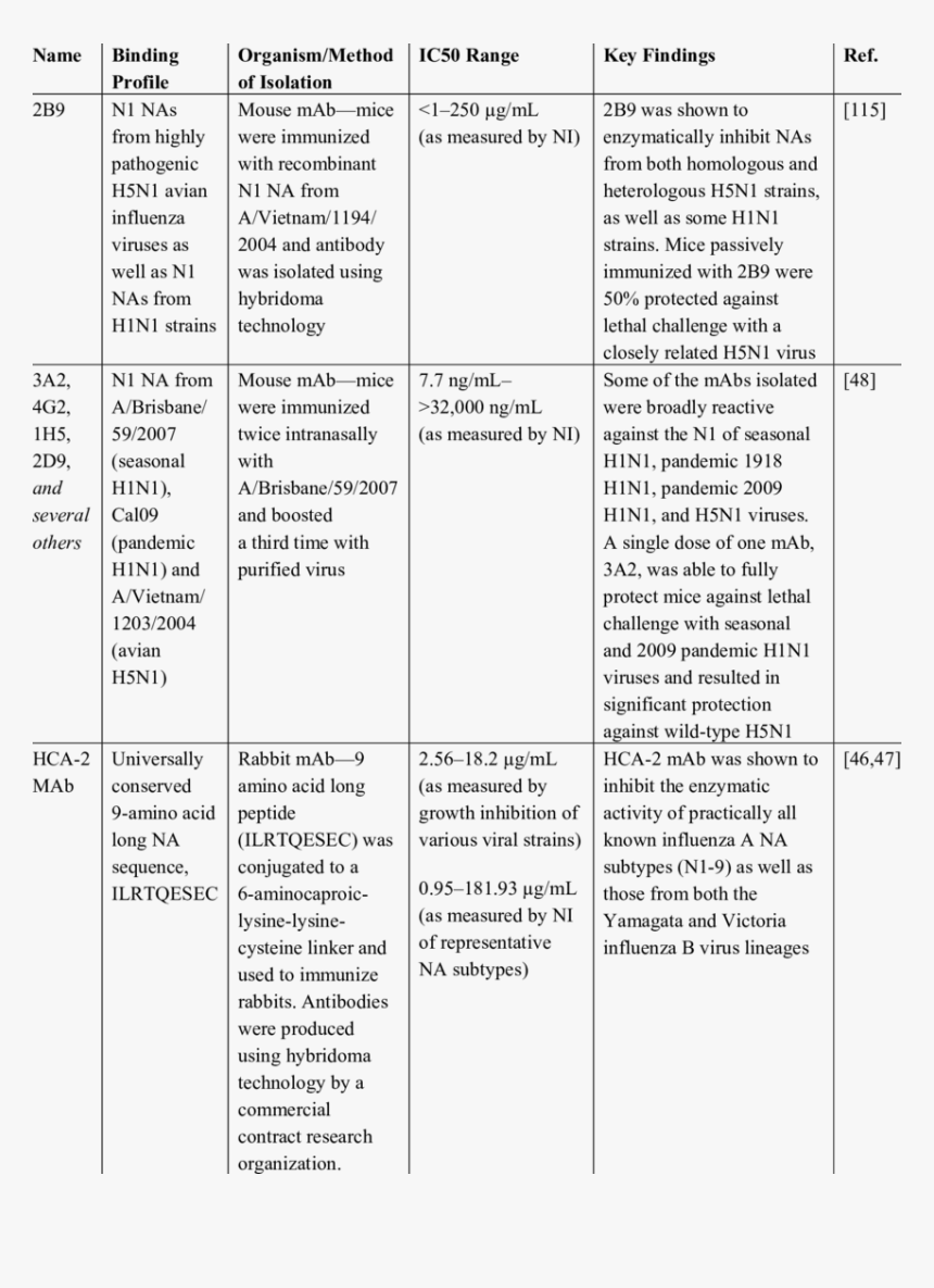 Document, HD Png Download