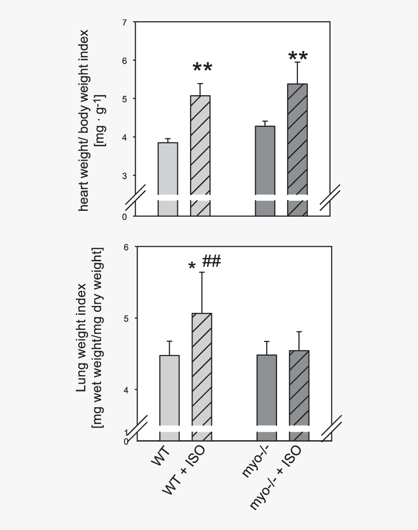 Diagram, HD Png Download