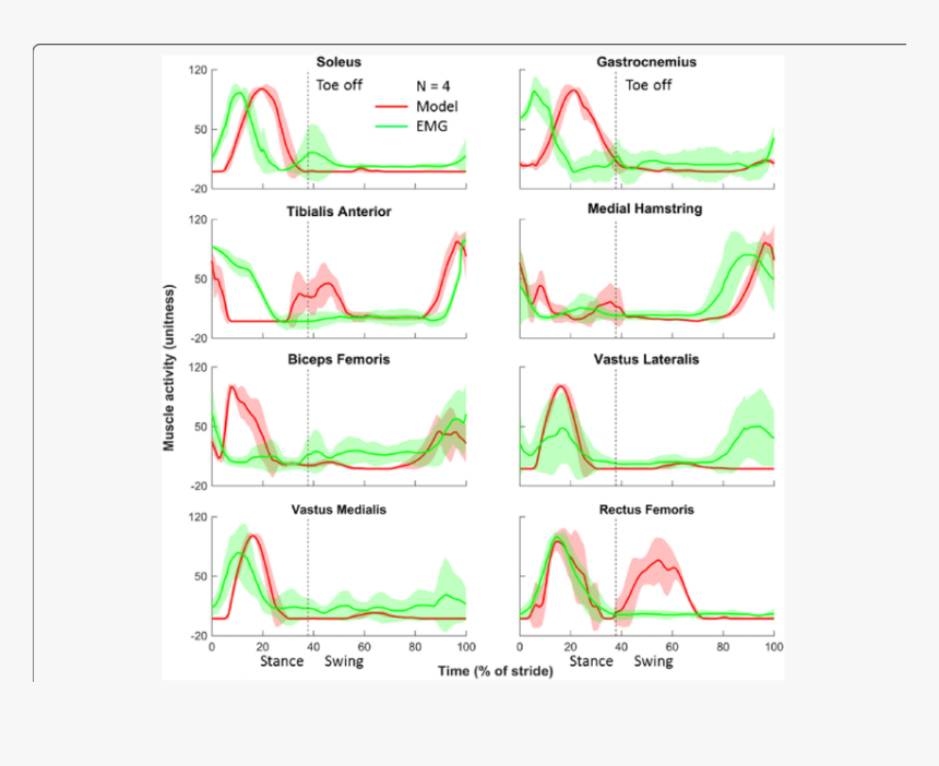 Emg Becipes With Load And Without Load, HD Png Download