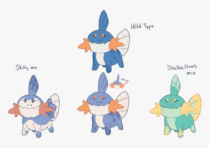 Mudkip Transparent Tiny - Mudkip Variations, HD Png Download