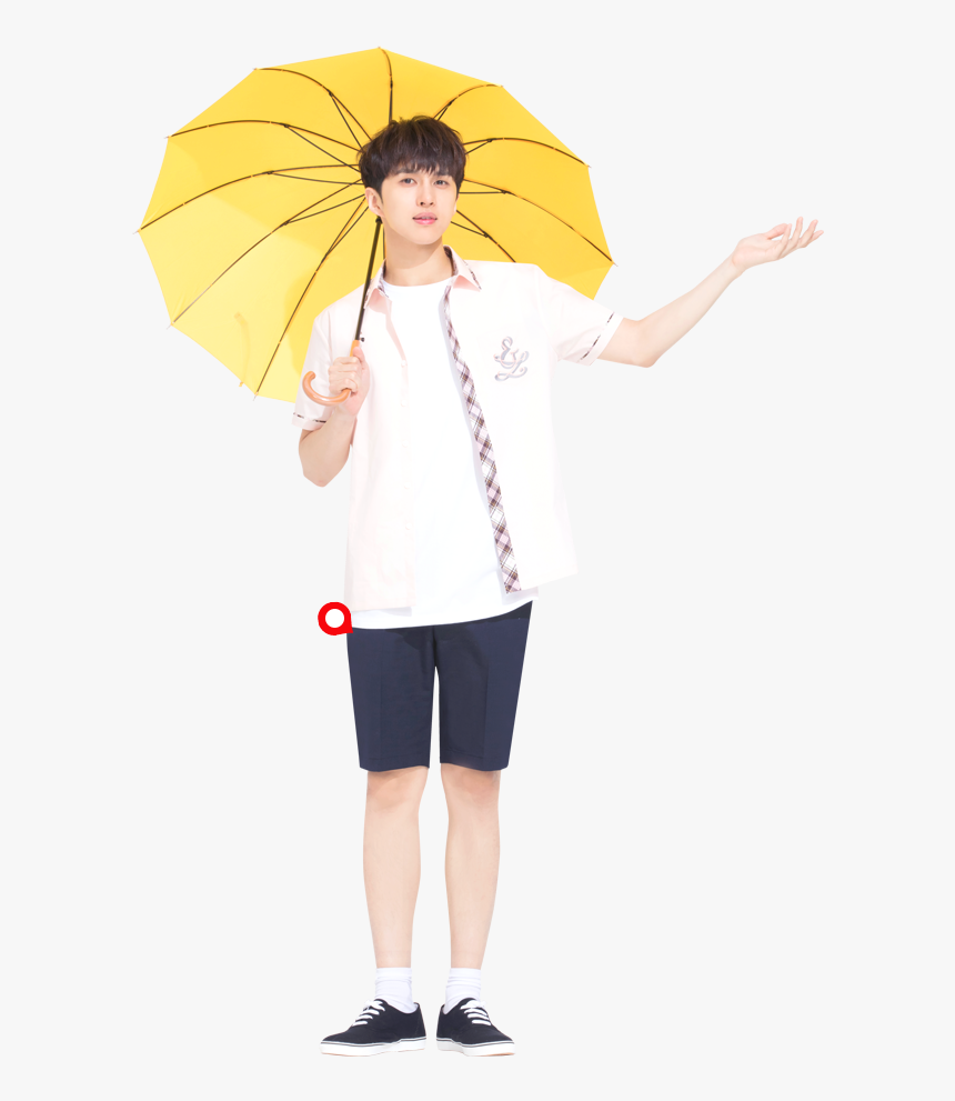 Umbrella, HD Png Download
