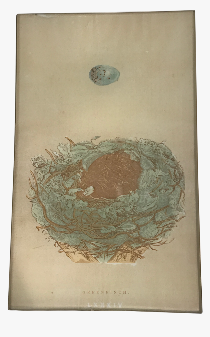 Illustration, HD Png Download