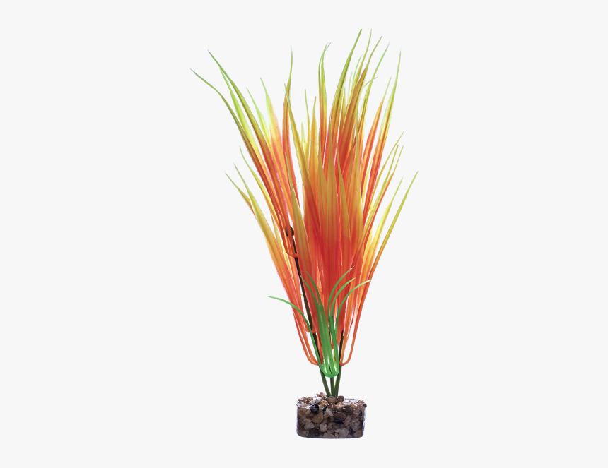 Grass, HD Png Download