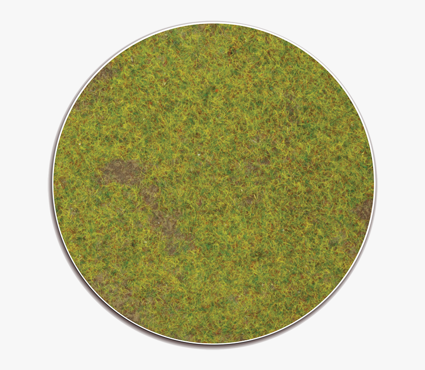 Circle, HD Png Download