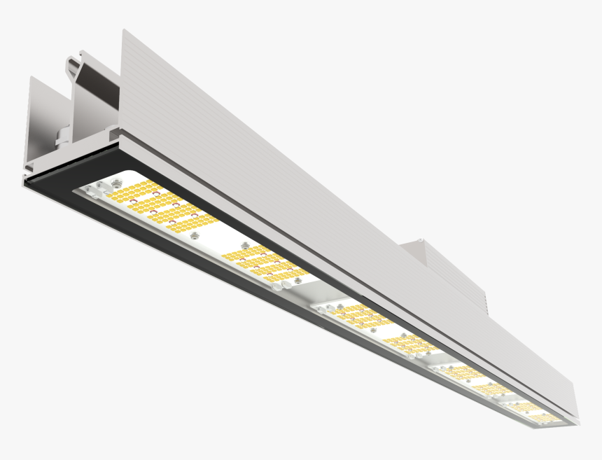 Hedera Helix Gva, HD Png Download