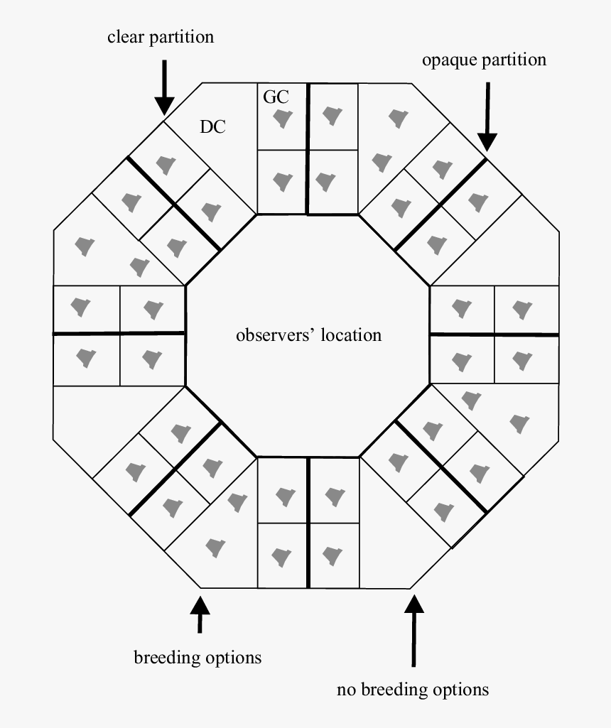 Diagram, HD Png Download