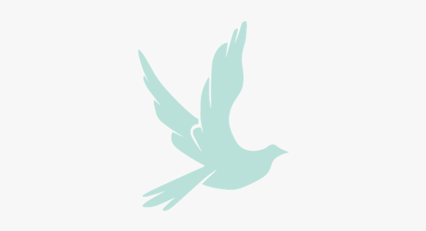 Swallow, HD Png Download