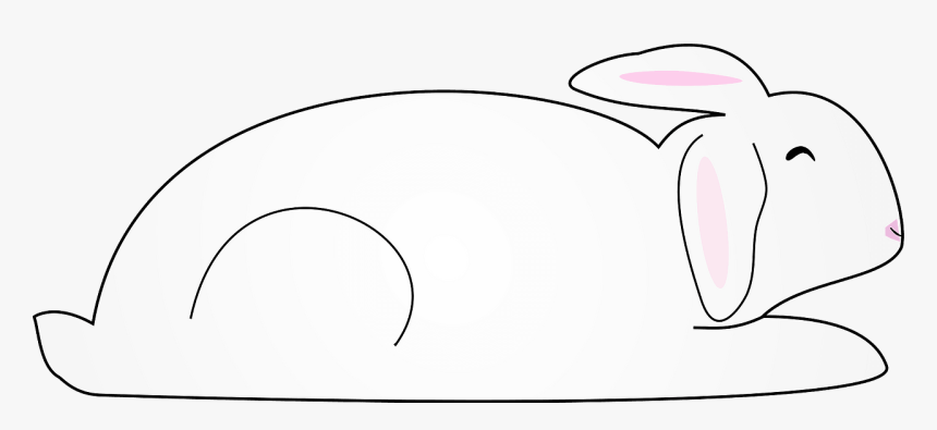 Rabbit, HD Png Download