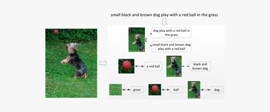 Hunting Dog, HD Png Download