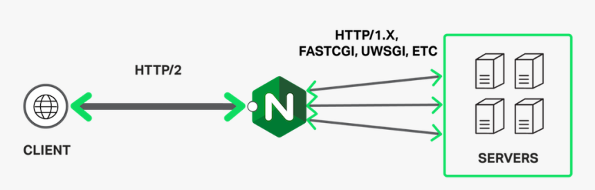 Nginx, HD Png Download