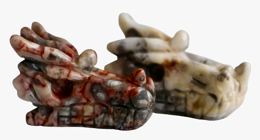 Crazy Lace Agate Dragon Skull Carved Crystal - Bead, HD Png Download