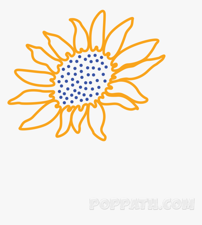 Use The Outline Of The Shape As A Guideline For Drawing - Sunflower Drawing Png, Transparent Png