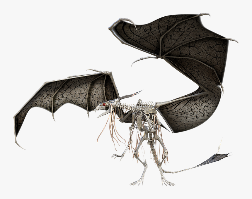 Illustration, HD Png Download