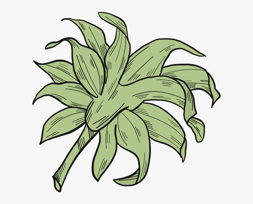 Clip Art, HD Png Download