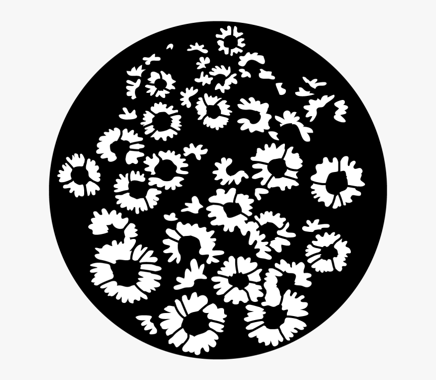 Apollo Sunflower Breakup - Circle, HD Png Download