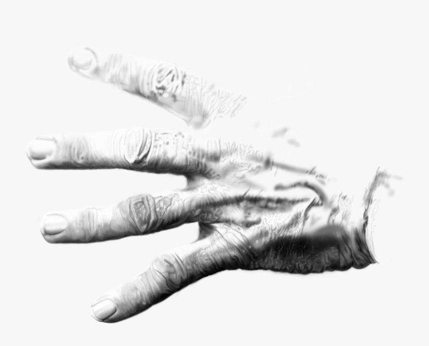 Sketch, HD Png Download