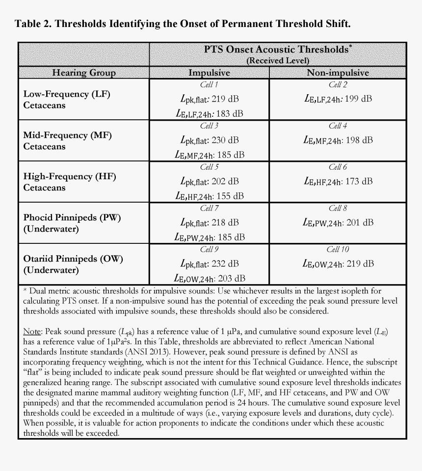 Document, HD Png Download