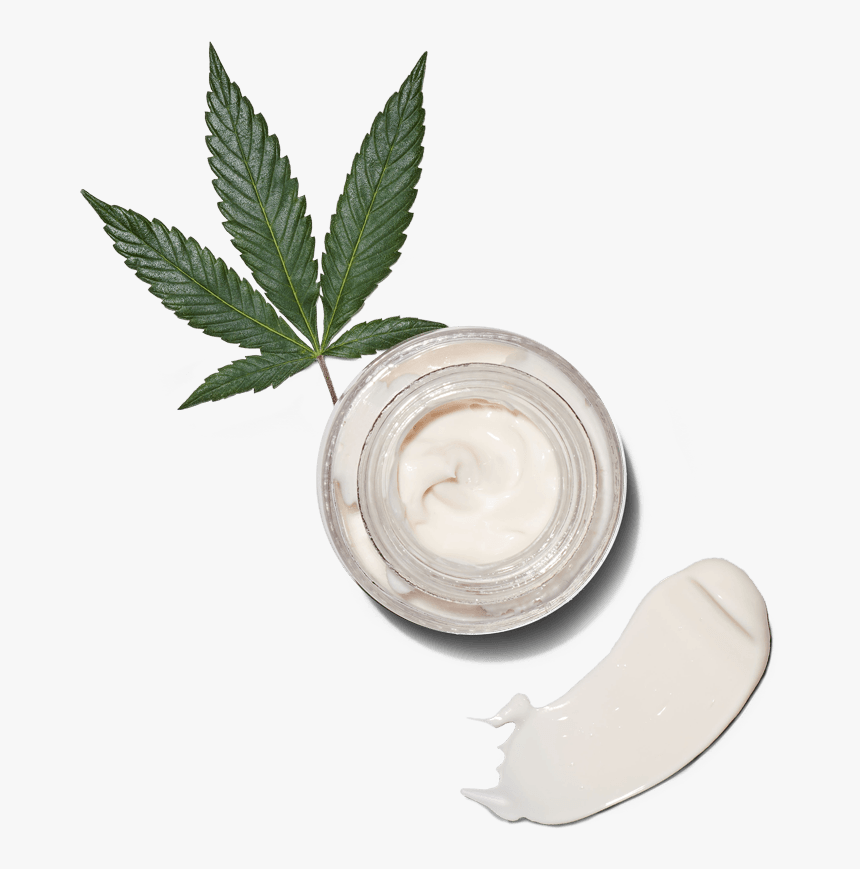 Cosmetics, HD Png Download