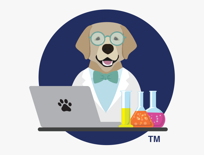 Companion Dog, HD Png Download