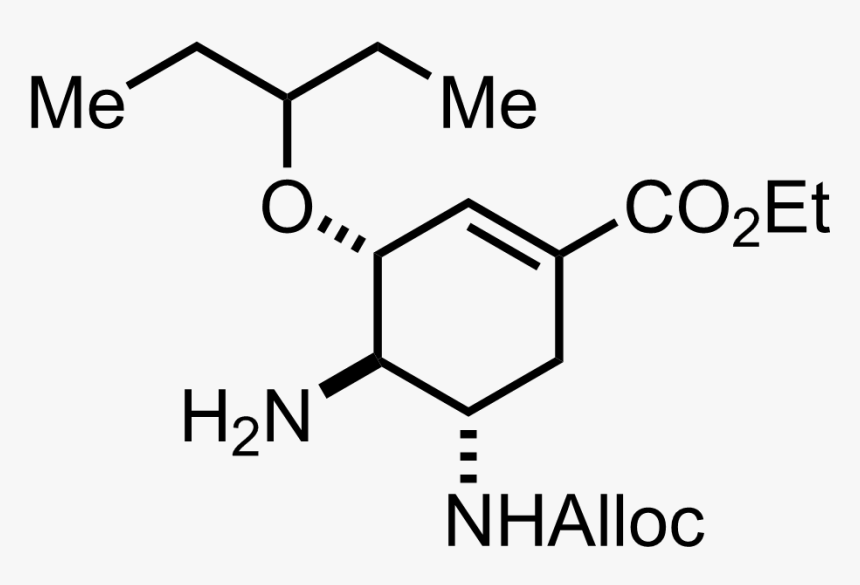 Intermediate Structure - Member List, HD Png Download
