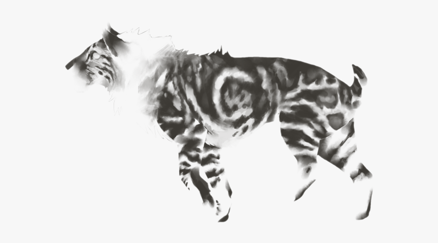 Tabby Cat, HD Png Download