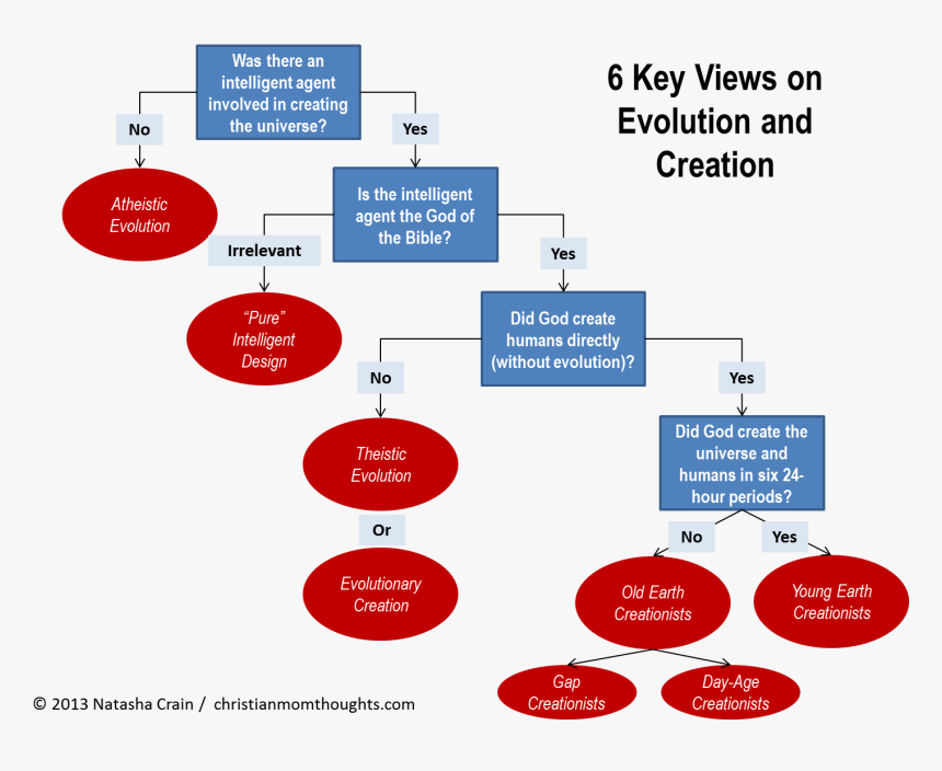 6 Views On Evolution And Creation - Evolution Basics, HD Png Download