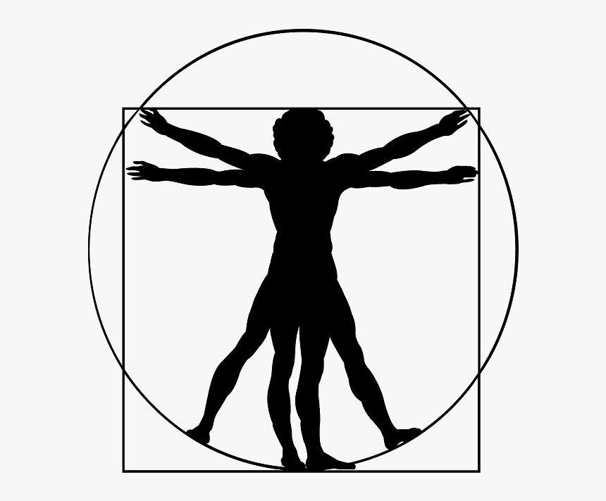 Vitruvian Man Vector Free, HD Png Download